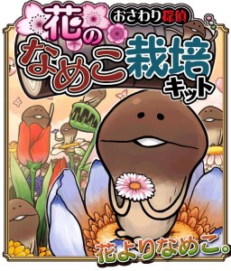 なめこ育成キット Seasons