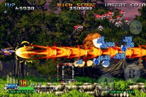 ブレイジングスター画像2