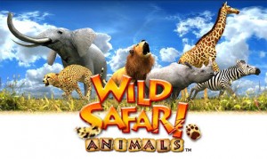 ワイルドサファリ ワイルドサファリ