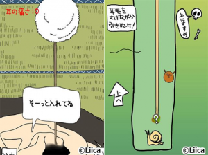 毎日の耳かき 毎日の耳かき