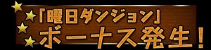 スペシャルダンジョン スペシャルダンジョン