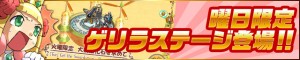 ゲリラステージが登場だ! ゲリラステージが登場だ!