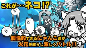個性的すぎるネコ達が魅力! 個性的すぎるネコ達が魅力!