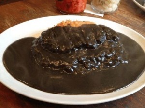 「トンカツカリー」