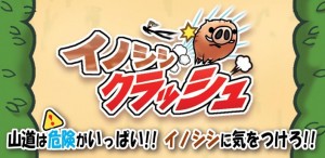 wildboarclash