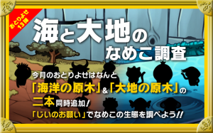 新原木2 本 & 新種レアなめこ12種追加！