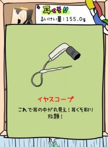 そして耳からもイヤースコープが