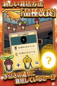 手引き通りに育ててるとレアなめこが! 手引き通りに育ててるとレアなめこが!