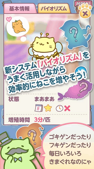 色んなみっちりねこを探そう！
