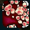Plague Inc.-伝染病株式会社- シナリオ 豚インフルエンザ攻略の画像