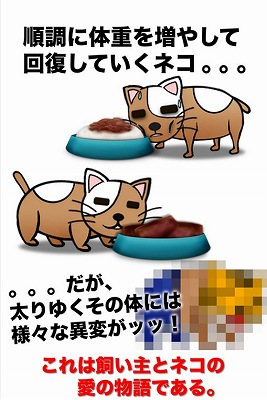 ひ弱な猫を成長させてあげよう! ひ弱な猫を成長させてあげよう!