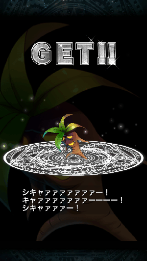 ブレフロ シキャァァァー ブレフロ シキャァァァー