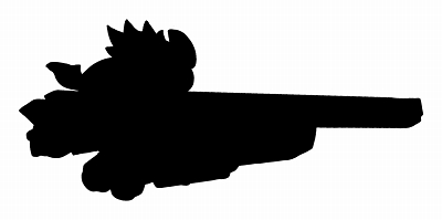 これは果たして！？