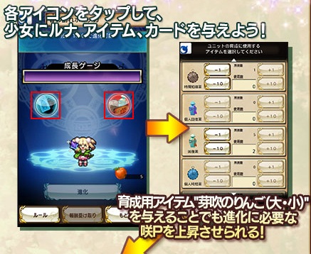 ポーチカにルナ、アイテム、カードを与えよう！