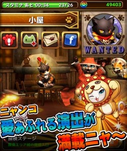 あふれるにゃんこ愛