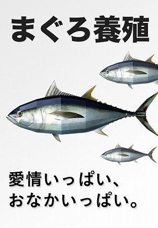 マグロと出会い、ふれあい、育て、そして別れる・・・