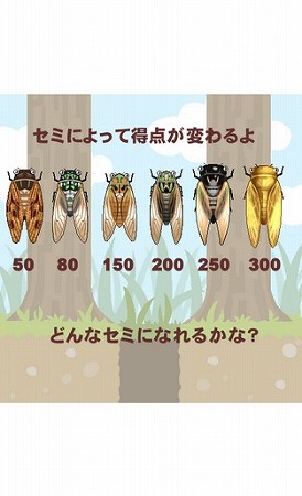 セミの幼虫が羽化するまで無事に木の上まで導いてあげよう。