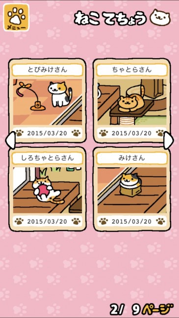 neko (5)