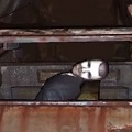 病んでる頭の中が一番怖い!自分もトラウマになりそうなトラウマを治療するサイコホラーゲーム『Nevermind』の画像