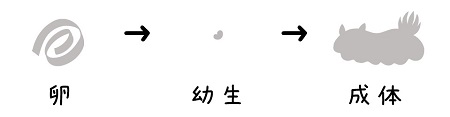 卵を選んで育成スタート。