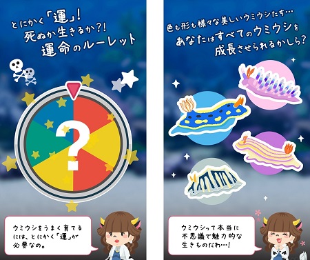 必要なのは運のよさと根気だけ！ウミウシ育成ゲーム。