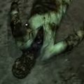 叫び声注意!弟者が『Penumbra: Black Plague』で驚きのあまり離脱wの画像