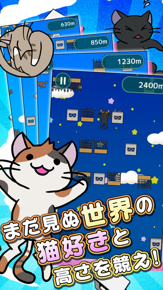 猫かわいいよ猫。