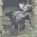 もうエンディング泣ける気しかしない。『人喰いの大鷲トリコ』は動物好き垂涎の絆ゲームの予感!の画像
