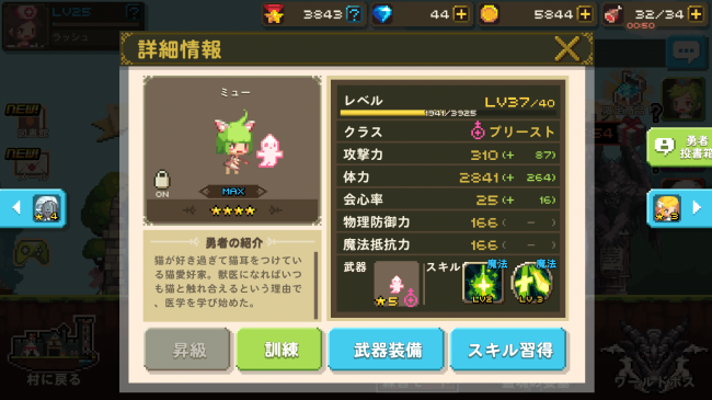 crusadersquest_13