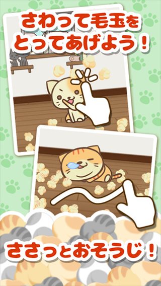 とにかくもう猫が可愛いすぎて...