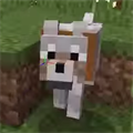 お家に帰らせていただきます！ぐっちは無事マイクラで犬4匹を連れて帰れるのか！？の画像