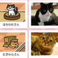 「ねこあつめ」のリアル版がGAME WEEKで、本日限定YouTubeライブ配信!の画像