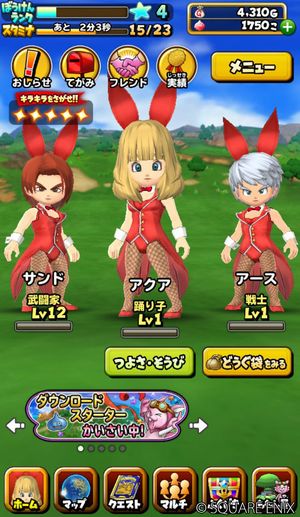 hosinodragonquest (11)