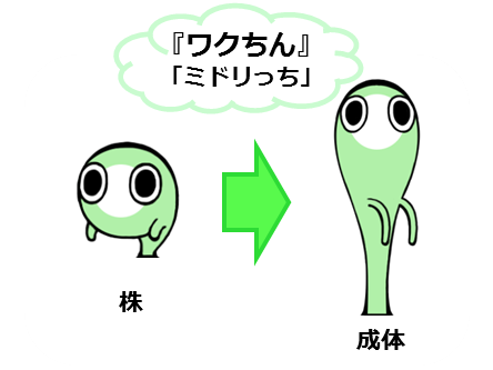 wakuchinzu1