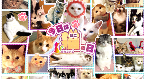 FireShot Capture 16 - 【祝＊猫の日】ねこ好き必見！！Twitterで話題の人気猫アカウント50名を一挙大_ - http___nekonavi.jp_archives_20546