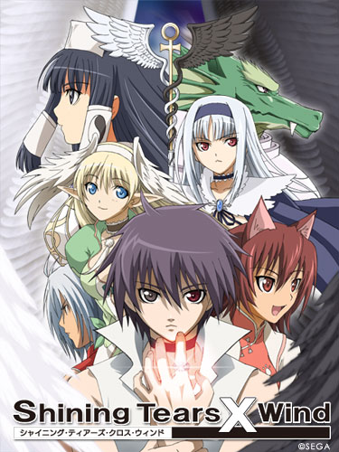 ▲出典：http://www.deen.co.jp/works/shining/
