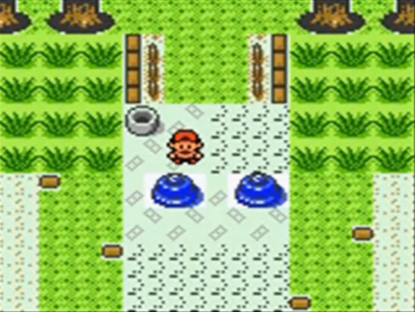 16031901