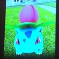 本物か!?「Pockemon Go」のプレイ動画らしきものがYoutubeに投稿される!の画像