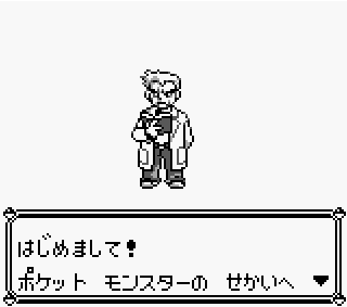 pokemon2