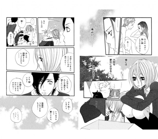 子猫を見つけるメイ。