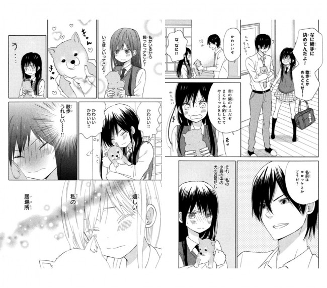 散歩したがる真魚ちゃん可愛いよ。