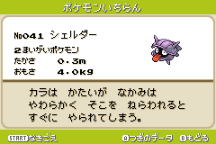 041　シェルダー