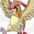 ポケモンを喰らうポケモン!?ピジョンの恐るべき生態が今明らかに!エサにされていたポケモンとは一体?【ポケモン噂の事件簿85】の画像
