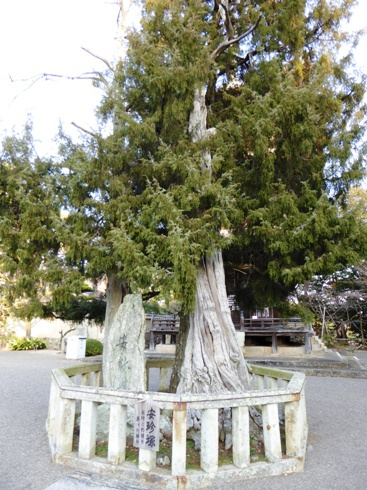 画像出典：http://jyotoblog.ti-da.net/e7153612.html