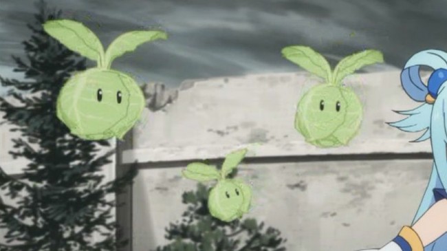 キャベツ役！