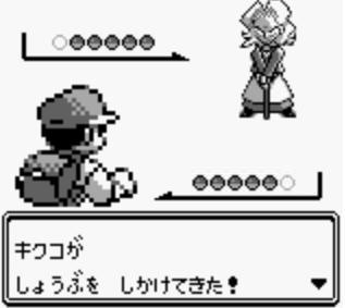 pokeo0