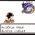懐かしいがもはやトラウマ！ポケモン金銀の悲しかったあるある50選！の画像