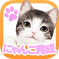 にゃんこ育成シミュレーション「てのひらニャンコ」iOS版配信開始!キャンペーン&レアにゃんこ情報解禁!の画像