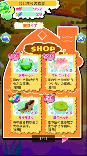 shop