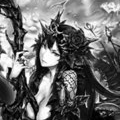 【シャドウバース】アカウントリセット1回で作る強力な無課金エルフ!ローズクイーン紹介の画像